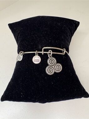 Alex and Ani Triskelion Charm Bangle – Rafaelian Silver